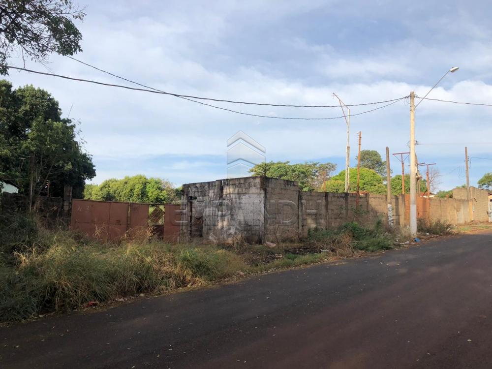 Alugar Rurais / Chácara em Sertãozinho apenas R$ 1.300,00 - Foto 1 Alugar Rurais / Chácara em Sertãozinho apenas R$ 1.300,00 - Foto 1