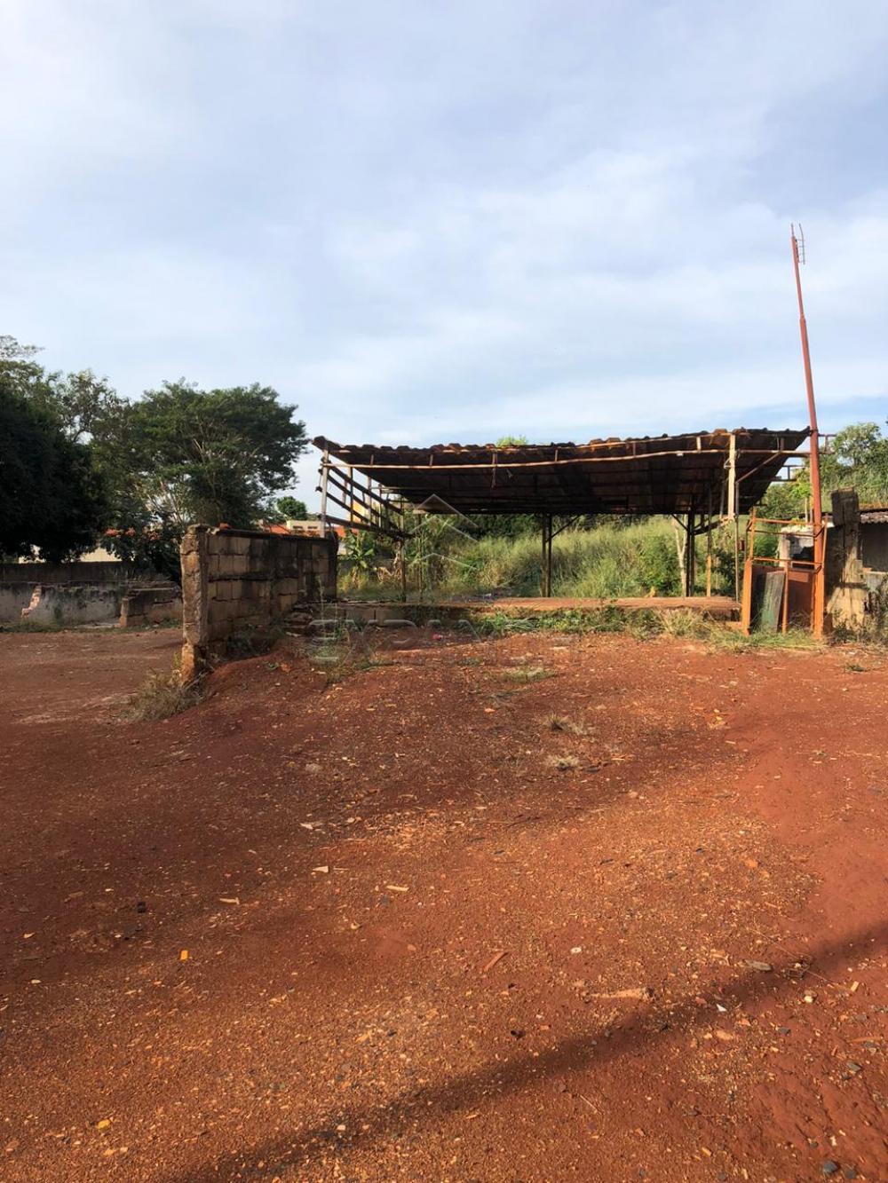 Alugar Rurais / Chácara em Sertãozinho apenas R$ 1.300,00 - Foto 3 Alugar Rurais / Chácara em Sertãozinho apenas R$ 1.300,00 - Foto 3