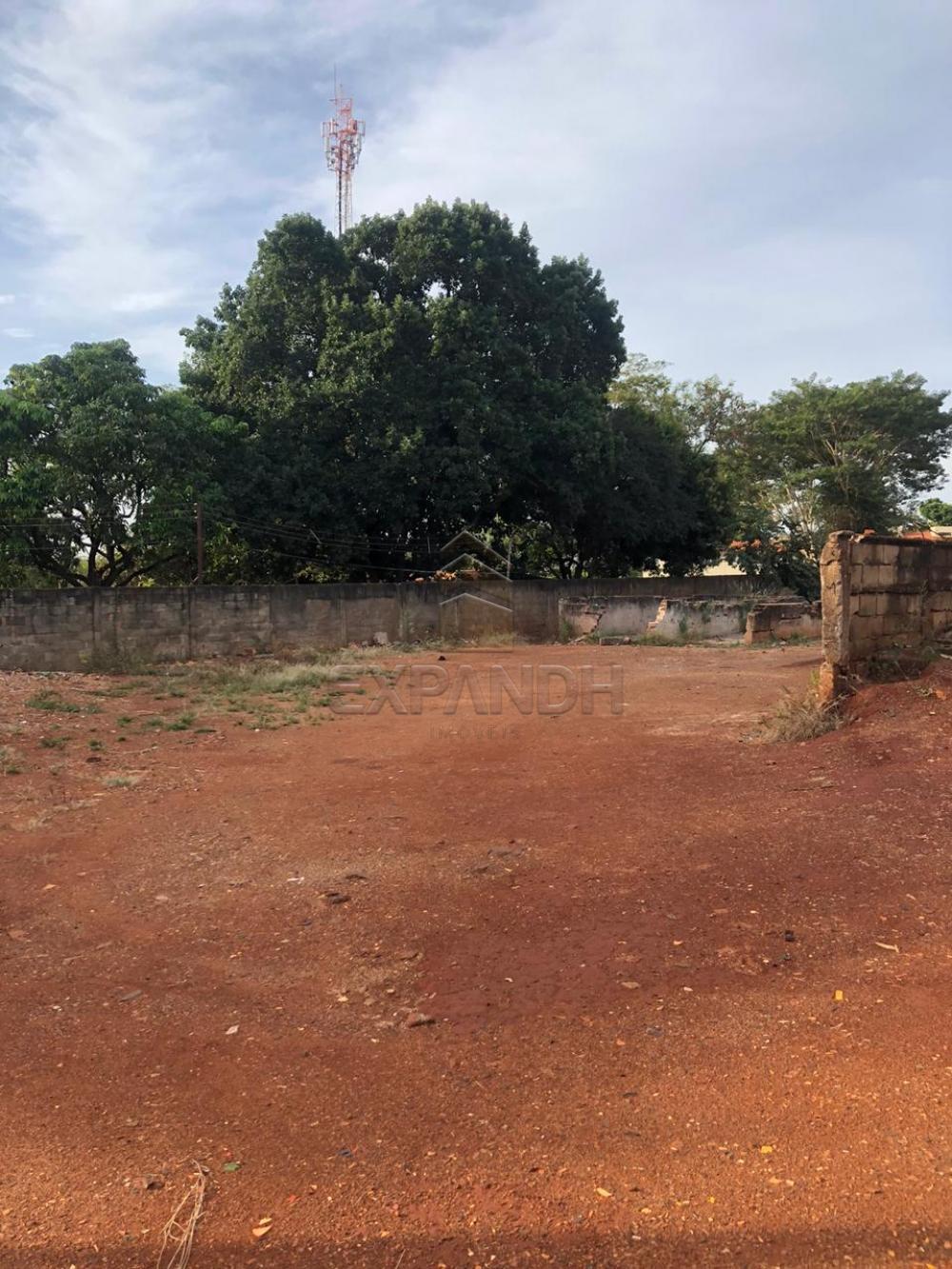 Alugar Rurais / Chácara em Sertãozinho apenas R$ 1.300,00 - Foto 4 Alugar Rurais / Chácara em Sertãozinho apenas R$ 1.300,00 - Foto 4