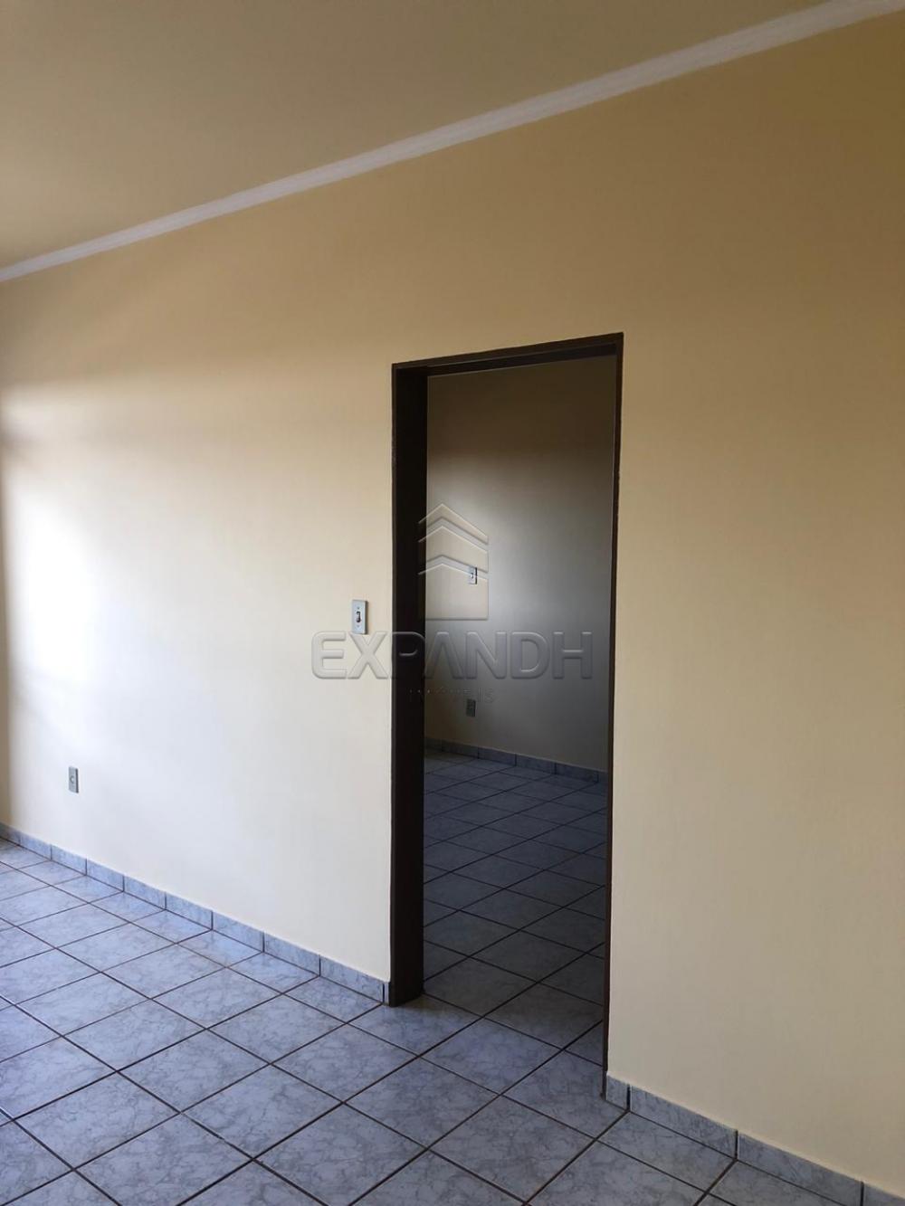 Alugar Apartamentos / Padrão em Sertãozinho apenas R$ 650,00 - Foto 9 Alugar Apartamentos / Padrão em Sertãozinho apenas R$ 650,00 - Foto 9
