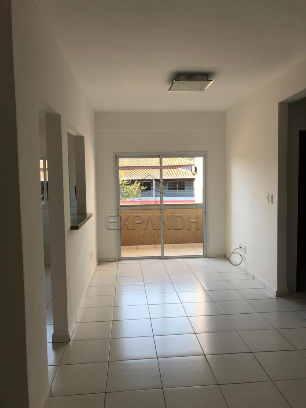Alugar Apartamentos / Padrão em Sertãozinho R$ 1.200,00 - Foto 4 Alugar Apartamentos / Padrão em Sertãozinho R$ 1.200,00 - Foto 4