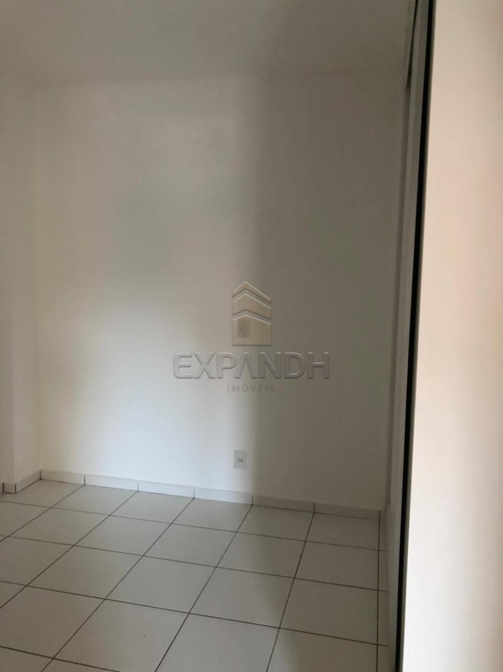 Alugar Apartamentos / Padrão em Sertãozinho R$ 1.200,00 - Foto 8 Alugar Apartamentos / Padrão em Sertãozinho R$ 1.200,00 - Foto 8