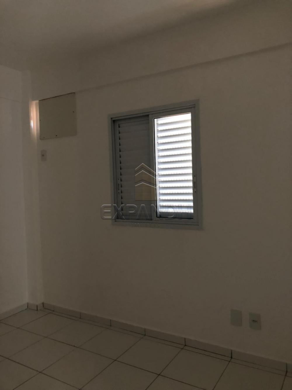 Alugar Apartamentos / Padrão em Sertãozinho R$ 1.200,00 - Foto 11 Alugar Apartamentos / Padrão em Sertãozinho R$ 1.200,00 - Foto 11