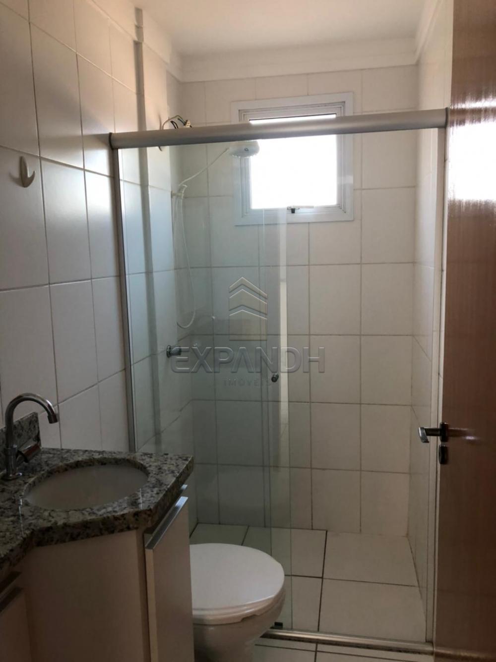 Alugar Apartamentos / Padrão em Sertãozinho R$ 1.200,00 - Foto 10 Alugar Apartamentos / Padrão em Sertãozinho R$ 1.200,00 - Foto 10