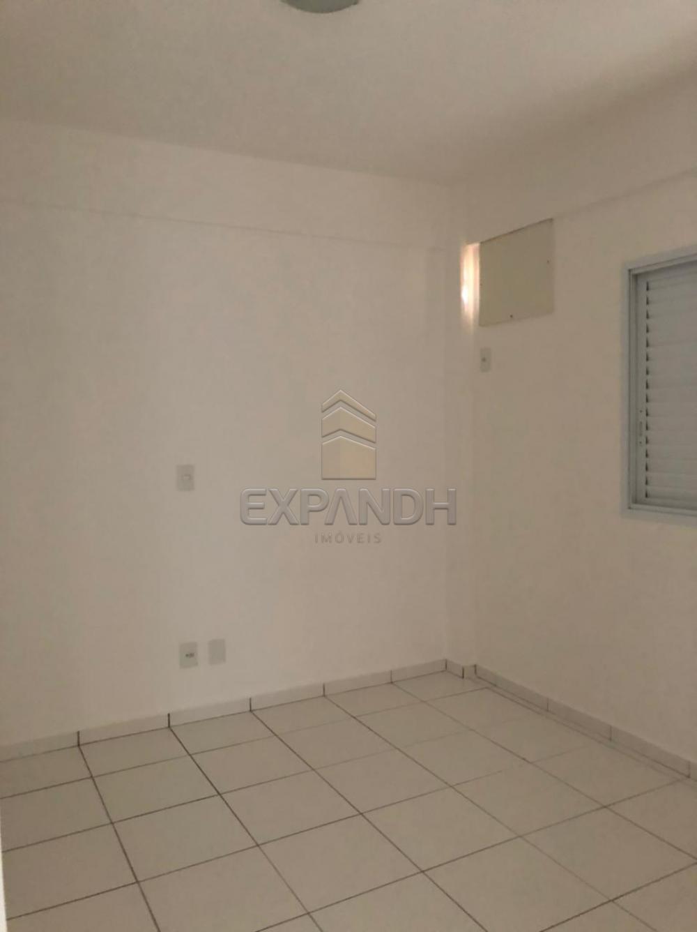 Alugar Apartamentos / Padrão em Sertãozinho R$ 1.200,00 - Foto 12 Alugar Apartamentos / Padrão em Sertãozinho R$ 1.200,00 - Foto 12