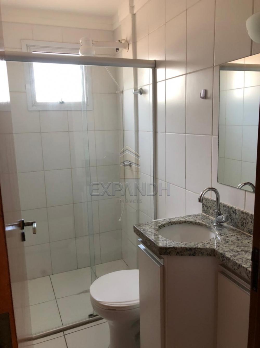 Alugar Apartamentos / Padrão em Sertãozinho R$ 1.200,00 - Foto 13 Alugar Apartamentos / Padrão em Sertãozinho R$ 1.200,00 - Foto 13