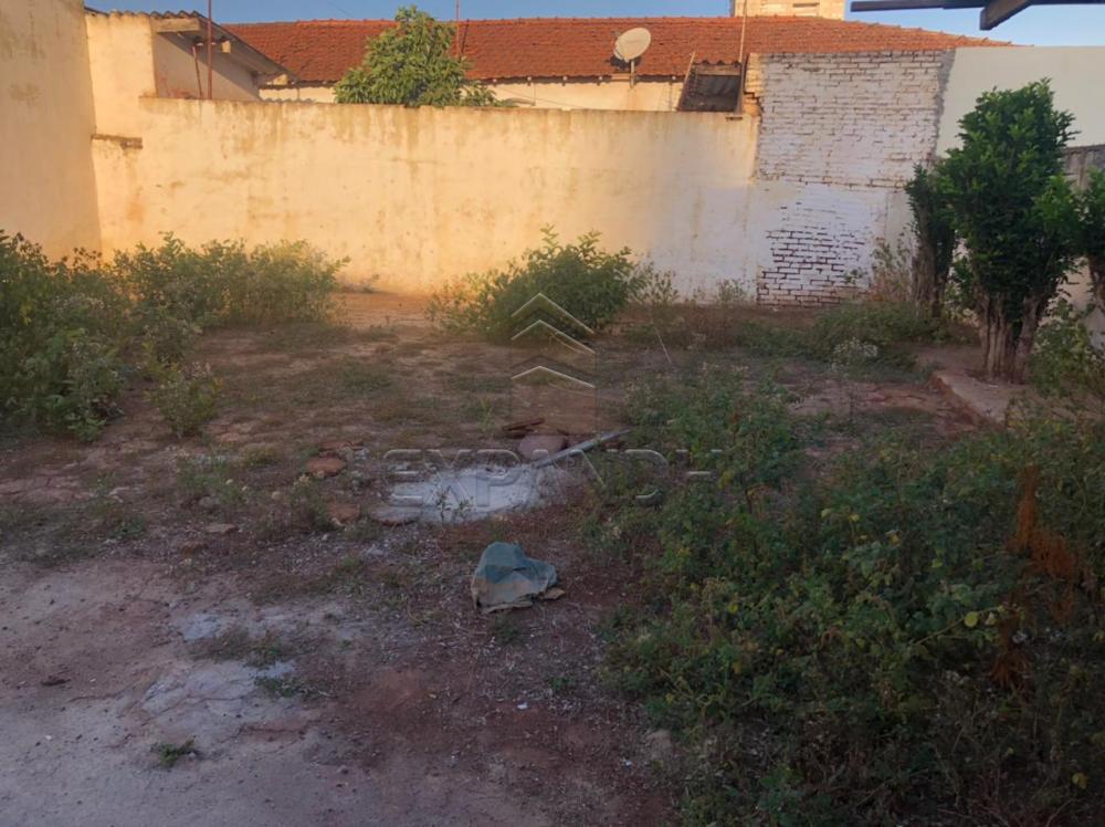 Alugar Casas / Padrão em Sertãozinho R$ 1.500,00 - Foto 32 Alugar Casas / Padrão em Sertãozinho R$ 1.500,00 - Foto 32