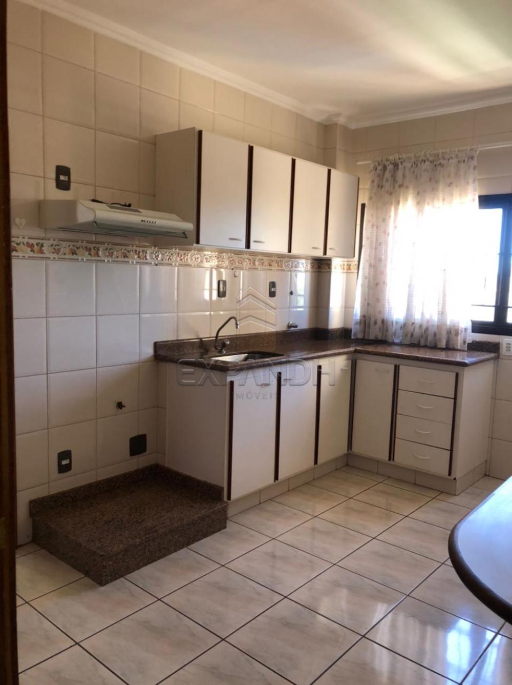 Alugar Apartamentos / Padrão em Sertãozinho R$ 1.350,00 - Foto 6 Alugar Apartamentos / Padrão em Sertãozinho R$ 1.350,00 - Foto 6