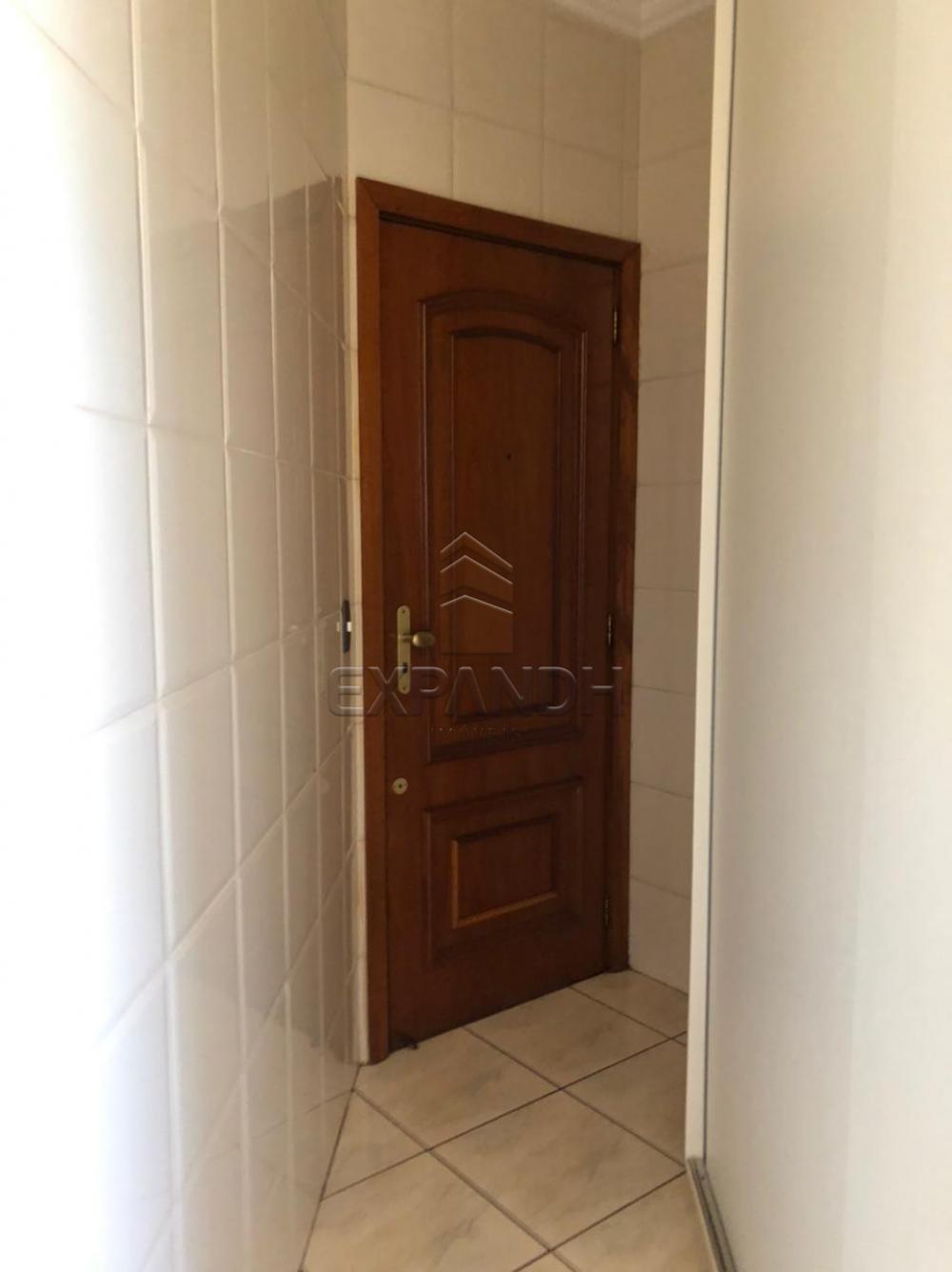 Alugar Apartamentos / Padrão em Sertãozinho R$ 1.350,00 - Foto 12 Alugar Apartamentos / Padrão em Sertãozinho R$ 1.350,00 - Foto 12