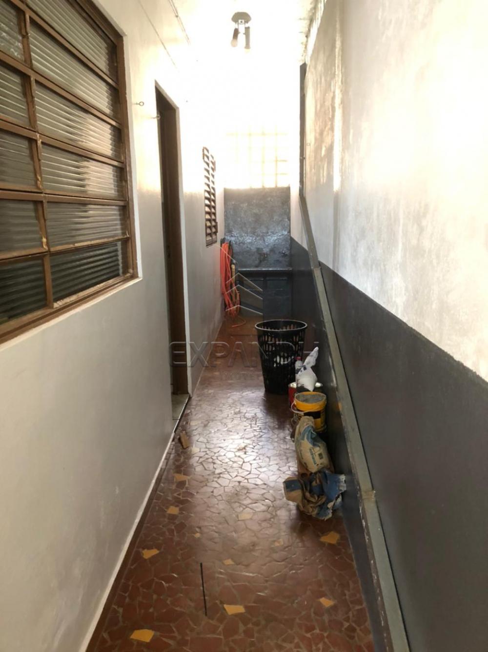 Alugar Casas / Padrão em Sertãozinho R$ 850,00 - Foto 3 Alugar Casas / Padrão em Sertãozinho R$ 850,00 - Foto 3
