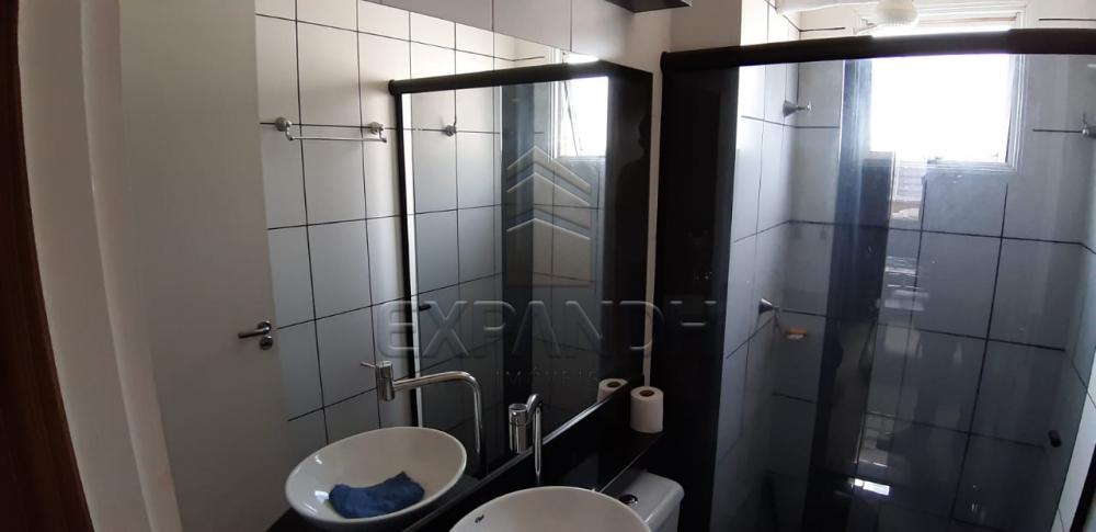 Alugar Apartamentos / Padrão em Sertãozinho R$ 675,00 - Foto 12 Alugar Apartamentos / Padrão em Sertãozinho R$ 675,00 - Foto 12