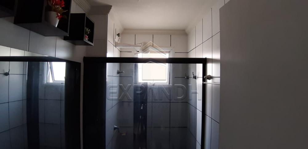 Alugar Apartamentos / Padrão em Sertãozinho R$ 675,00 - Foto 13 Alugar Apartamentos / Padrão em Sertãozinho R$ 675,00 - Foto 13