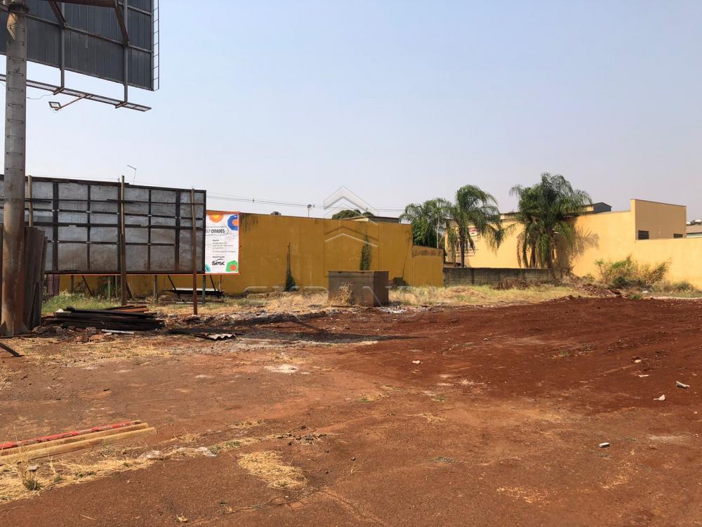 Alugar Comerciais / Ponto Comercial em Sertãozinho R$ 3.500,00 - Foto 4 Alugar Comerciais / Ponto Comercial em Sertãozinho R$ 3.500,00 - Foto 4