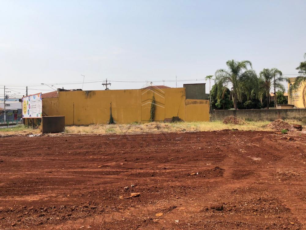 Alugar Comerciais / Ponto Comercial em Sertãozinho R$ 3.500,00 - Foto 5 Alugar Comerciais / Ponto Comercial em Sertãozinho R$ 3.500,00 - Foto 5
