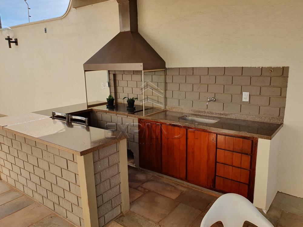 Alugar Apartamentos / Padrão em Sertãozinho apenas R$ 1.200,00 - Foto 4 Alugar Apartamentos / Padrão em Sertãozinho apenas R$ 1.200,00 - Foto 4