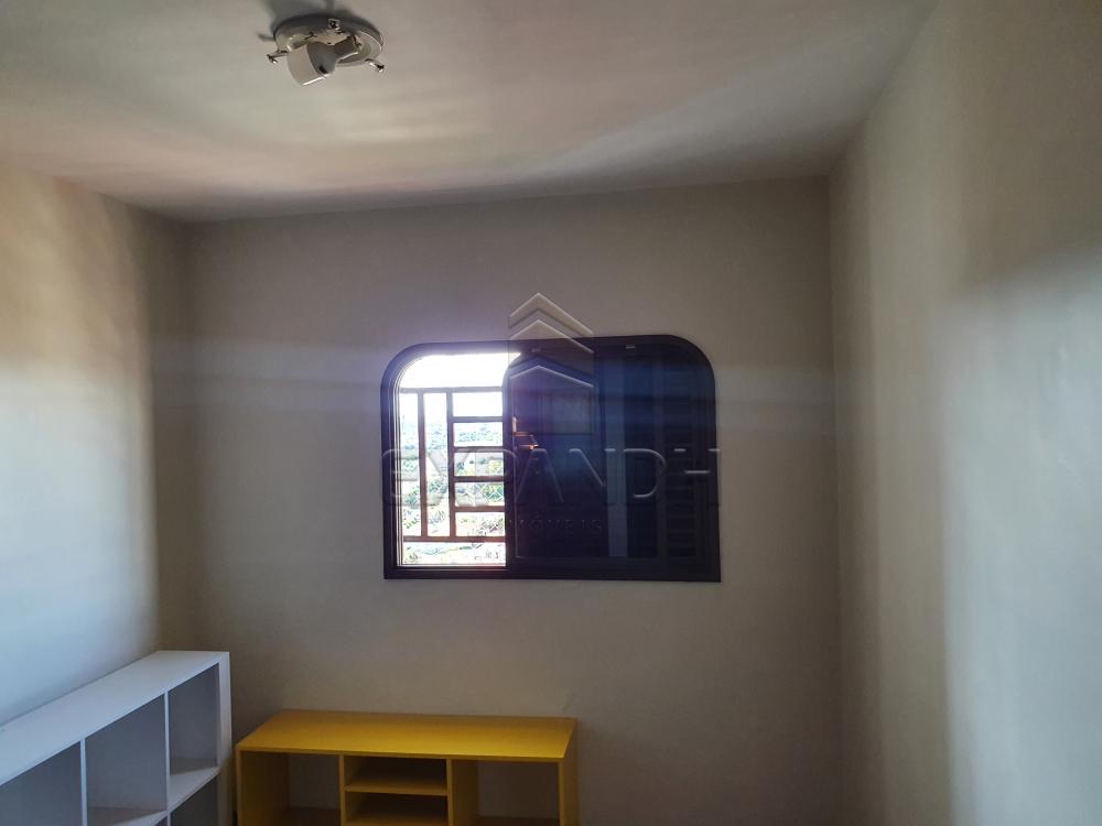 Alugar Apartamentos / Padrão em Sertãozinho apenas R$ 1.200,00 - Foto 29 Alugar Apartamentos / Padrão em Sertãozinho apenas R$ 1.200,00 - Foto 29