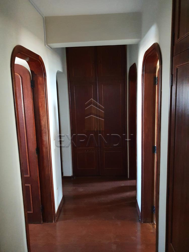 Alugar Apartamentos / Padrão em Sertãozinho apenas R$ 1.200,00 - Foto 31 Alugar Apartamentos / Padrão em Sertãozinho apenas R$ 1.200,00 - Foto 31