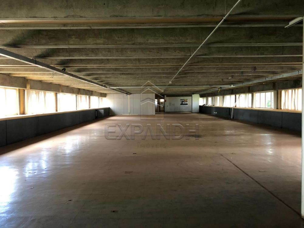 Alugar Comerciais / Sala em Sertãozinho R$ 4.000,00 - Foto 3 Alugar Comerciais / Sala em Sertãozinho R$ 4.000,00 - Foto 3