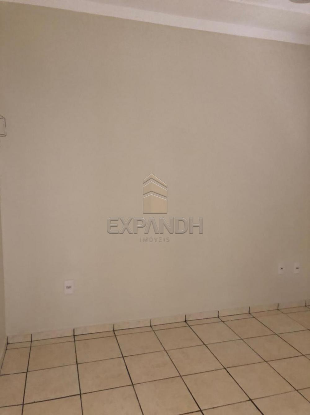 Alugar Apartamentos / Padrão em Sertãozinho R$ 780,00 - Foto 6 Alugar Apartamentos / Padrão em Sertãozinho R$ 780,00 - Foto 6