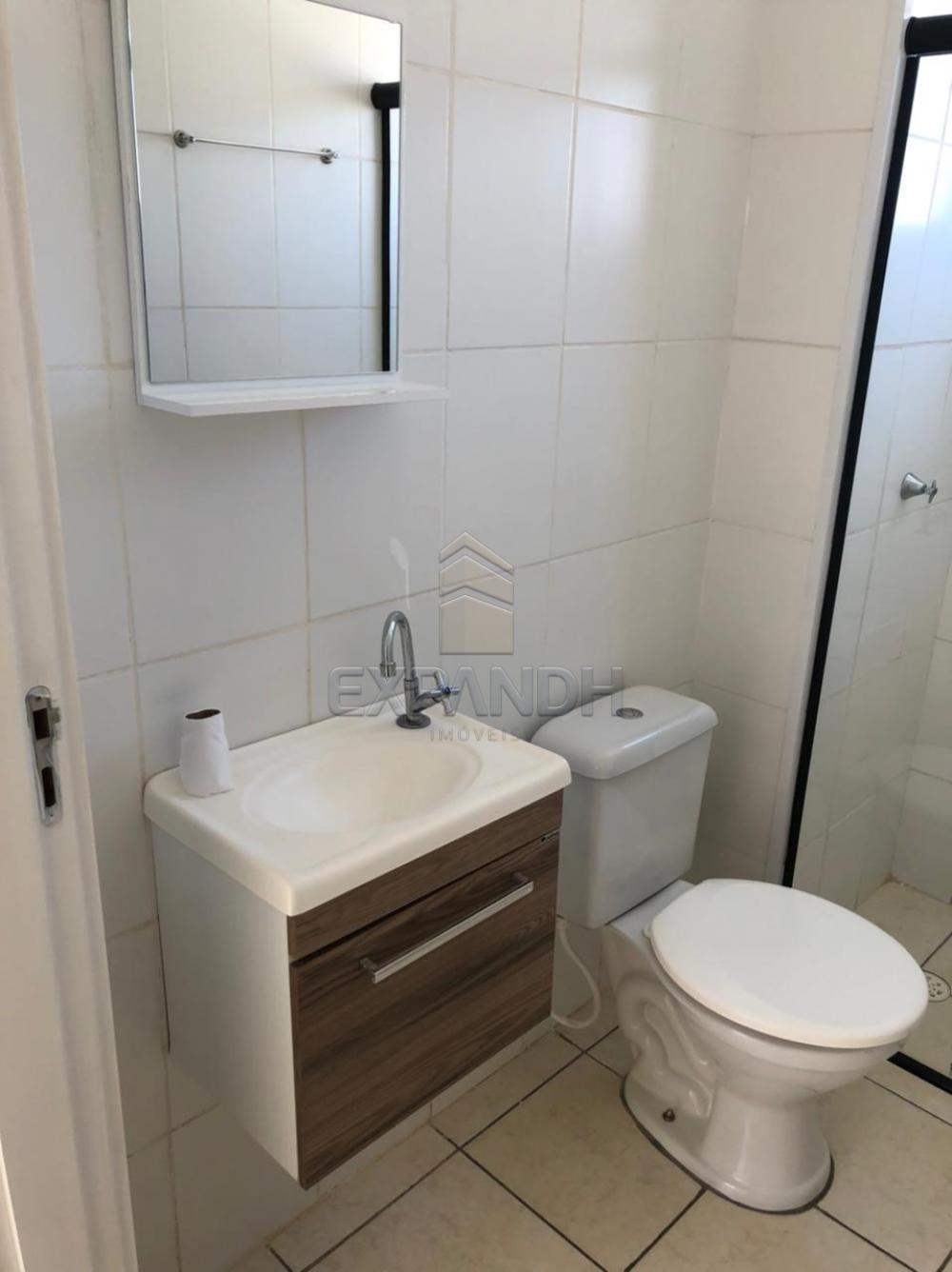 Alugar Apartamentos / Padrão em Sertãozinho R$ 780,00 - Foto 7 Alugar Apartamentos / Padrão em Sertãozinho R$ 780,00 - Foto 7