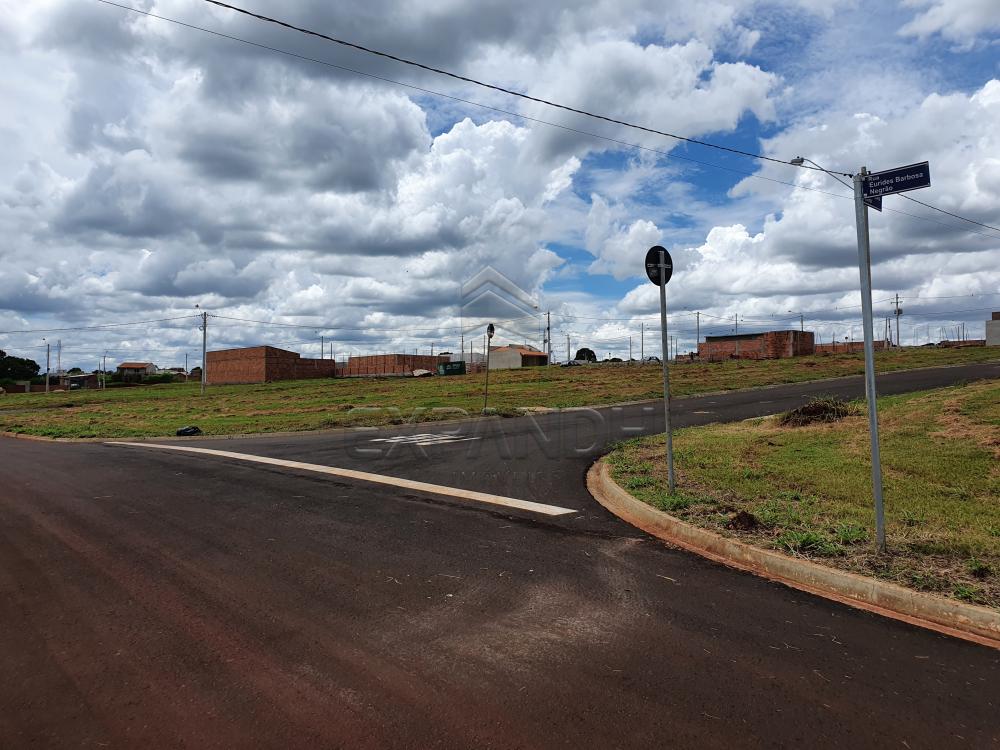 Comprar Terrenos / Padrão em Cruz das Posses R$ 77.000,00 - Foto 3 Comprar Terrenos / Padrão em Cruz das Posses R$ 77.000,00 - Foto 3