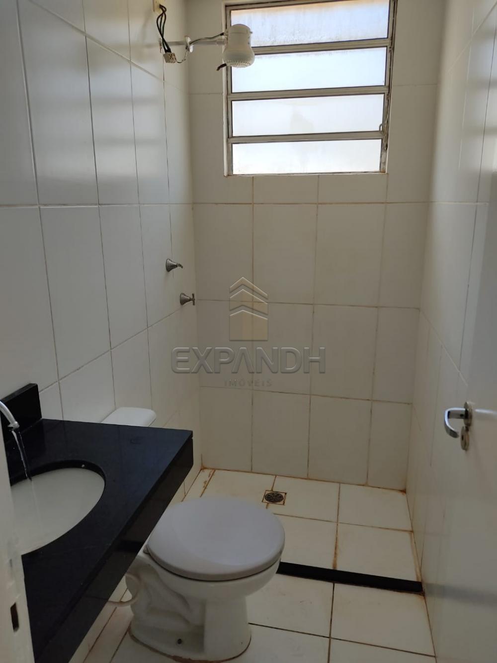 Alugar Apartamentos / Padrão em Sertãozinho R$ 550,00 - Foto 7 Alugar Apartamentos / Padrão em Sertãozinho R$ 550,00 - Foto 7