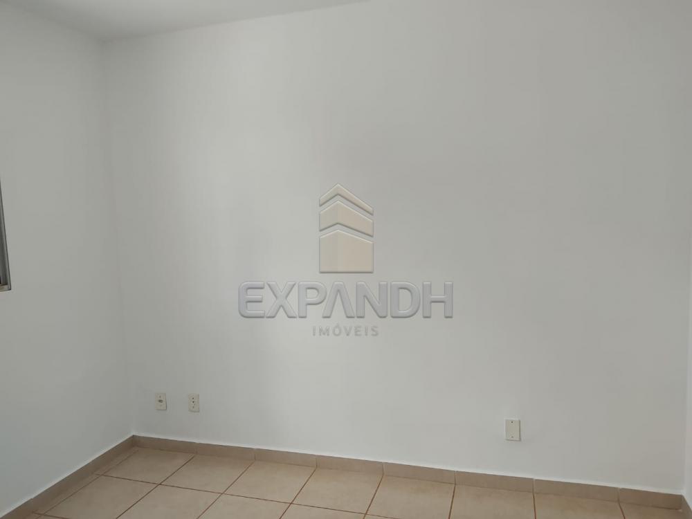 Alugar Apartamentos / Padrão em Sertãozinho R$ 550,00 - Foto 8 Alugar Apartamentos / Padrão em Sertãozinho R$ 550,00 - Foto 8