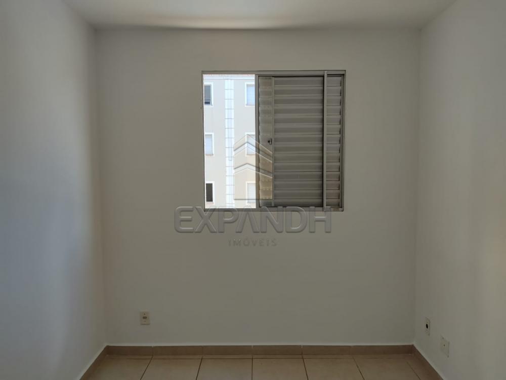 Alugar Apartamentos / Padrão em Sertãozinho R$ 550,00 - Foto 9 Alugar Apartamentos / Padrão em Sertãozinho R$ 550,00 - Foto 9