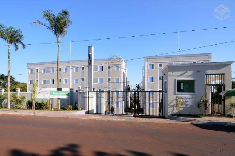 Alugar Apartamentos / Padrão em Sertãozinho R$ 550,00 - Foto 1 Alugar Apartamentos / Padrão em Sertãozinho R$ 550,00 - Foto 1