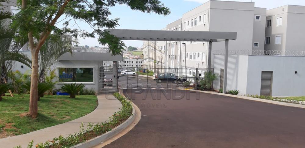 Alugar Apartamentos / Padrão em Sertãozinho apenas R$ 650,00 - Foto 1 Alugar Apartamentos / Padrão em Sertãozinho apenas R$ 650,00 - Foto 1