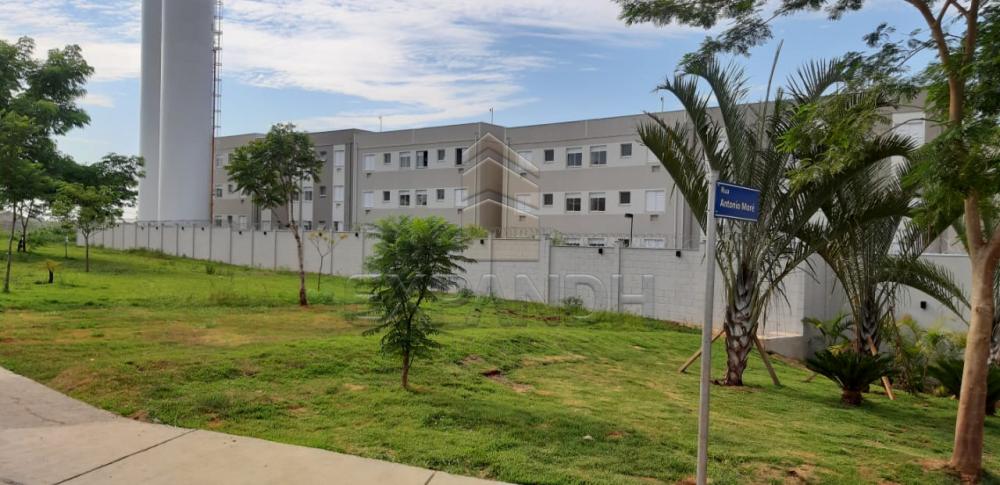 Alugar Apartamentos / Padrão em Sertãozinho apenas R$ 650,00 - Foto 3 Alugar Apartamentos / Padrão em Sertãozinho apenas R$ 650,00 - Foto 3