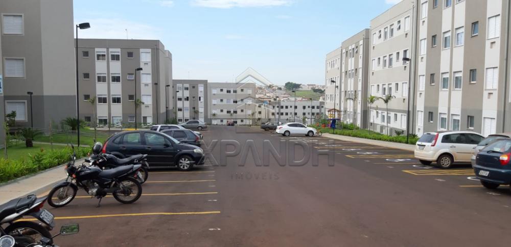 Alugar Apartamentos / Padrão em Sertãozinho apenas R$ 650,00 - Foto 4 Alugar Apartamentos / Padrão em Sertãozinho apenas R$ 650,00 - Foto 4
