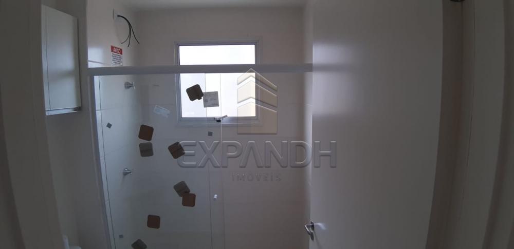 Alugar Apartamentos / Padrão em Sertãozinho apenas R$ 650,00 - Foto 8 Alugar Apartamentos / Padrão em Sertãozinho apenas R$ 650,00 - Foto 8