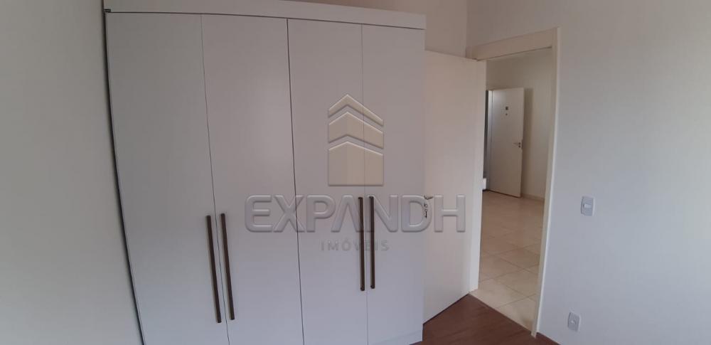 Alugar Apartamentos / Padrão em Sertãozinho apenas R$ 650,00 - Foto 9 Alugar Apartamentos / Padrão em Sertãozinho apenas R$ 650,00 - Foto 9