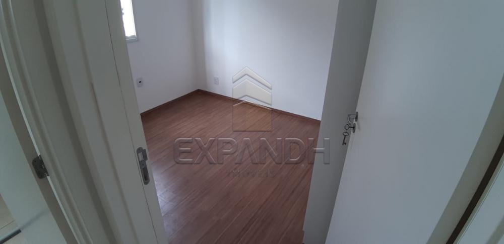 Alugar Apartamentos / Padrão em Sertãozinho apenas R$ 650,00 - Foto 11 Alugar Apartamentos / Padrão em Sertãozinho apenas R$ 650,00 - Foto 11