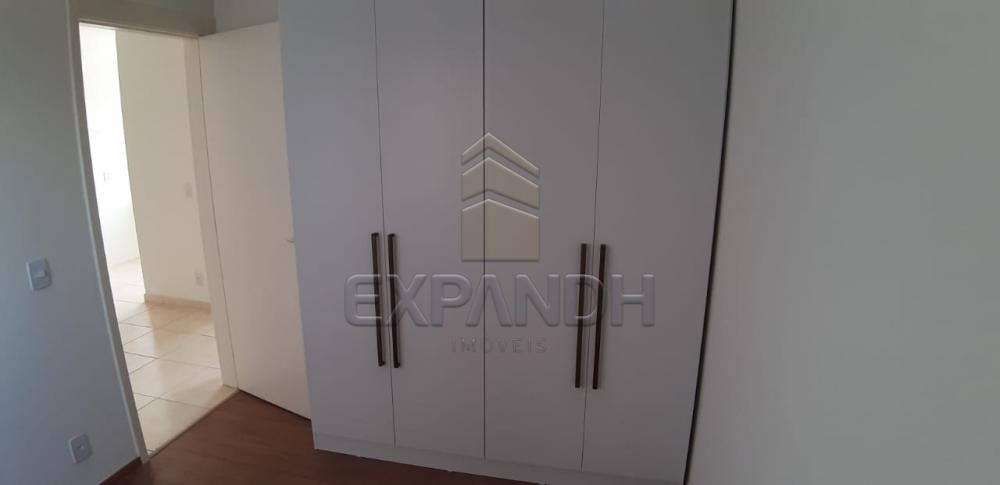 Alugar Apartamentos / Padrão em Sertãozinho apenas R$ 650,00 - Foto 13 Alugar Apartamentos / Padrão em Sertãozinho apenas R$ 650,00 - Foto 13