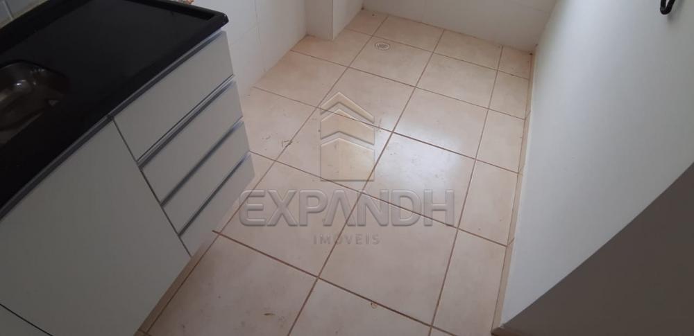 Alugar Apartamentos / Padrão em Sertãozinho apenas R$ 650,00 - Foto 15 Alugar Apartamentos / Padrão em Sertãozinho apenas R$ 650,00 - Foto 15