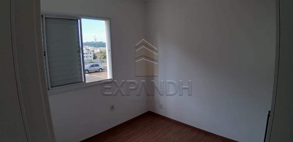 Alugar Apartamentos / Padrão em Sertãozinho apenas R$ 650,00 - Foto 10 Alugar Apartamentos / Padrão em Sertãozinho apenas R$ 650,00 - Foto 10
