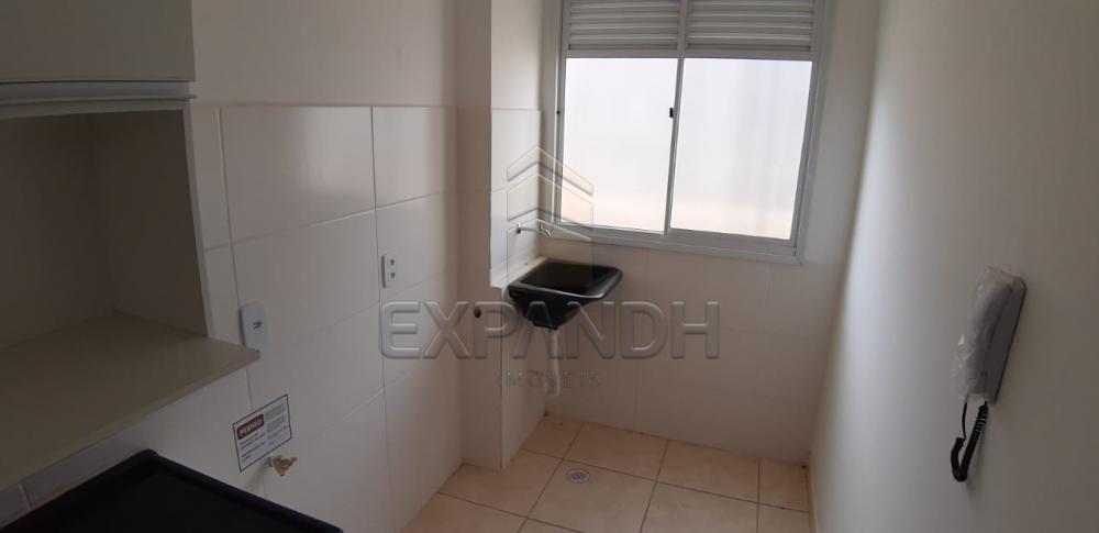 Alugar Apartamentos / Padrão em Sertãozinho apenas R$ 650,00 - Foto 16 Alugar Apartamentos / Padrão em Sertãozinho apenas R$ 650,00 - Foto 16