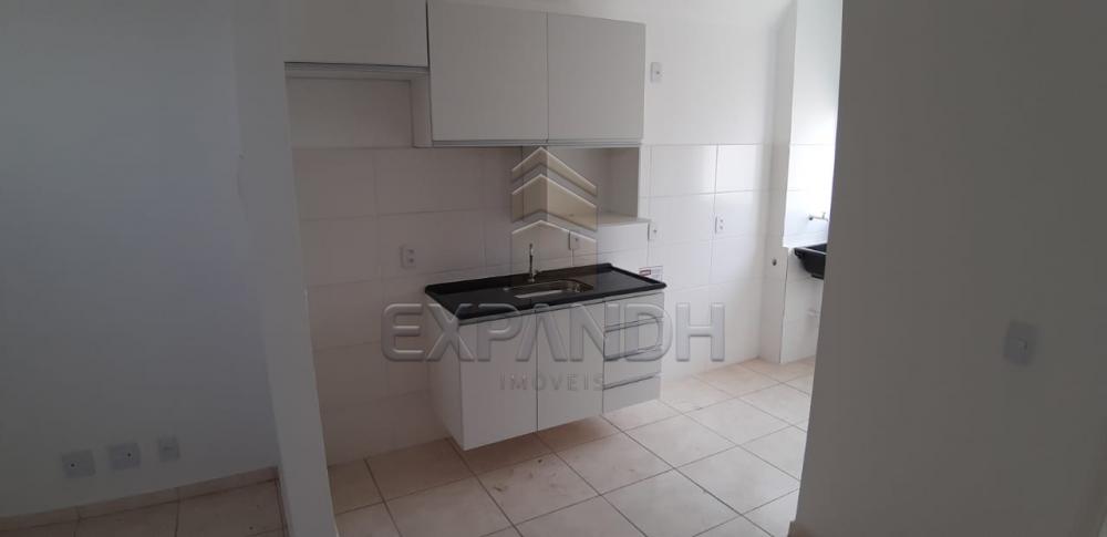 Alugar Apartamentos / Padrão em Sertãozinho apenas R$ 650,00 - Foto 18 Alugar Apartamentos / Padrão em Sertãozinho apenas R$ 650,00 - Foto 18