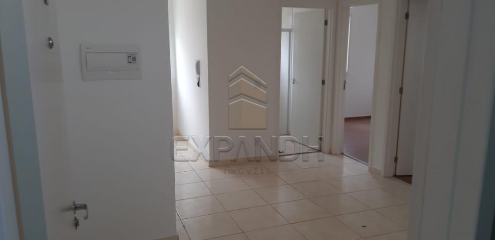 Alugar Apartamentos / Padrão em Sertãozinho apenas R$ 650,00 - Foto 19 Alugar Apartamentos / Padrão em Sertãozinho apenas R$ 650,00 - Foto 19