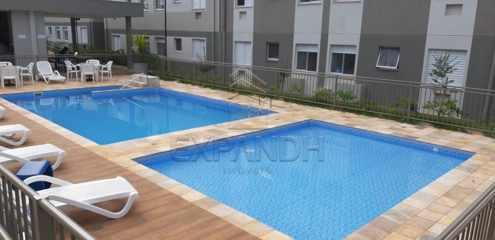 Alugar Apartamentos / Padrão em Sertãozinho apenas R$ 650,00 - Foto 26 Alugar Apartamentos / Padrão em Sertãozinho apenas R$ 650,00 - Foto 26