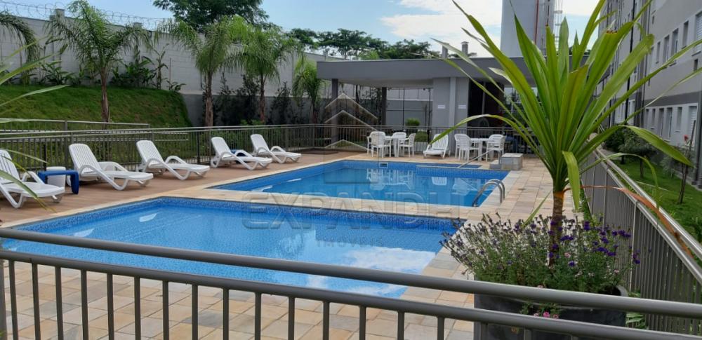 Alugar Apartamentos / Padrão em Sertãozinho apenas R$ 650,00 - Foto 27 Alugar Apartamentos / Padrão em Sertãozinho apenas R$ 650,00 - Foto 27