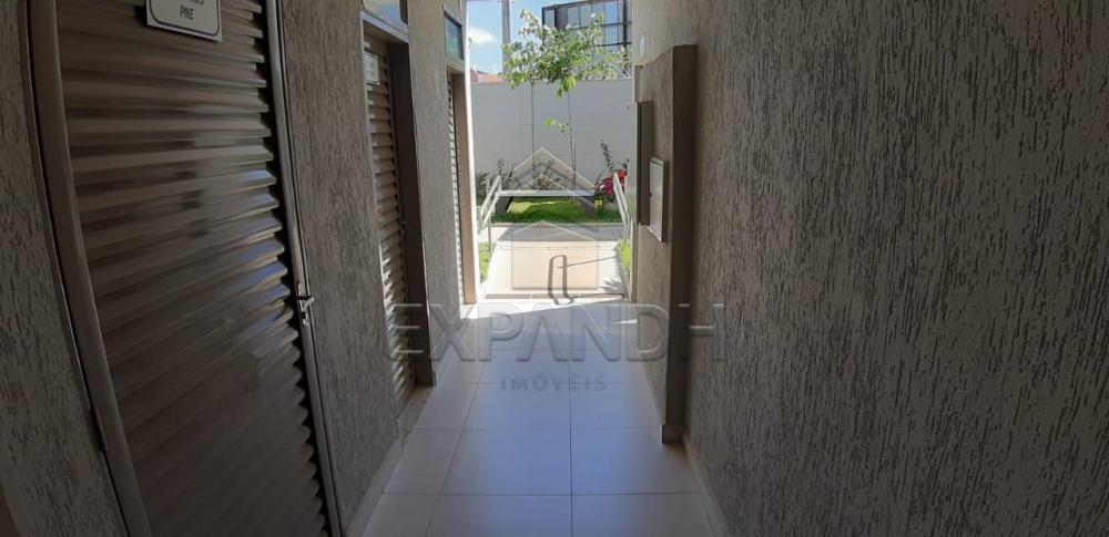 Alugar Apartamentos / Padrão em Sertãozinho apenas R$ 650,00 - Foto 30 Alugar Apartamentos / Padrão em Sertãozinho apenas R$ 650,00 - Foto 30