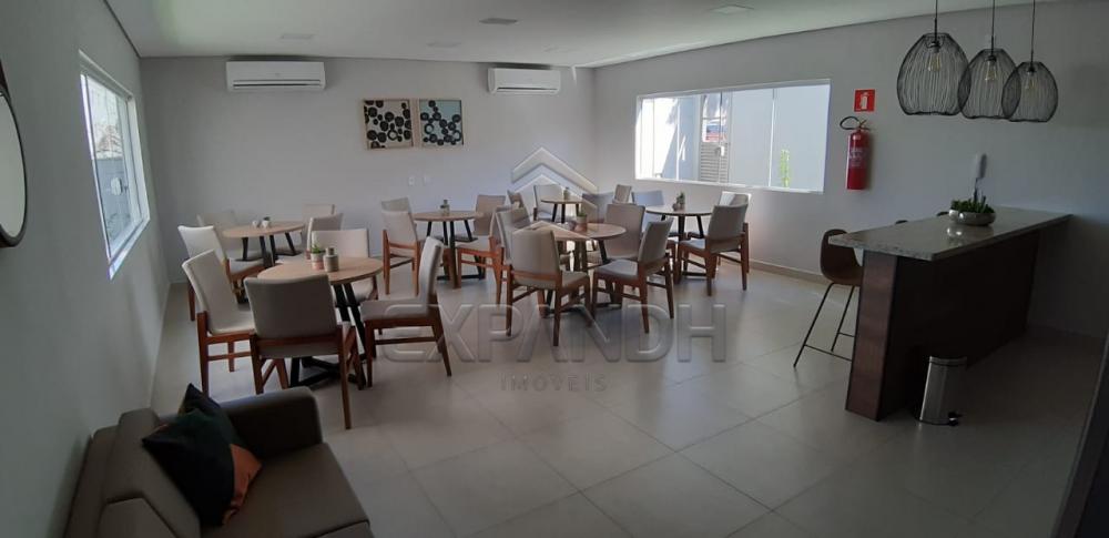 Alugar Apartamentos / Padrão em Sertãozinho apenas R$ 650,00 - Foto 31 Alugar Apartamentos / Padrão em Sertãozinho apenas R$ 650,00 - Foto 31