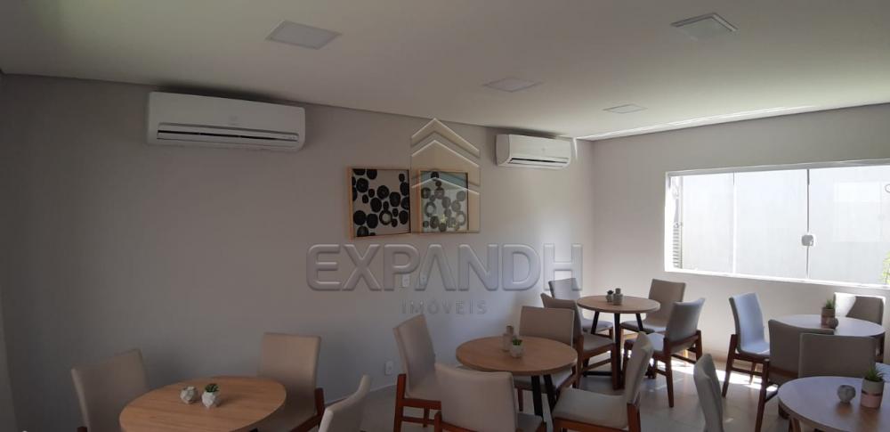 Alugar Apartamentos / Padrão em Sertãozinho apenas R$ 650,00 - Foto 36 Alugar Apartamentos / Padrão em Sertãozinho apenas R$ 650,00 - Foto 36