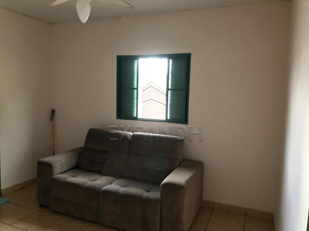 Alugar Casas / Padrão em Sertãozinho R$ 800,00 - Foto 6 Alugar Casas / Padrão em Sertãozinho R$ 800,00 - Foto 6