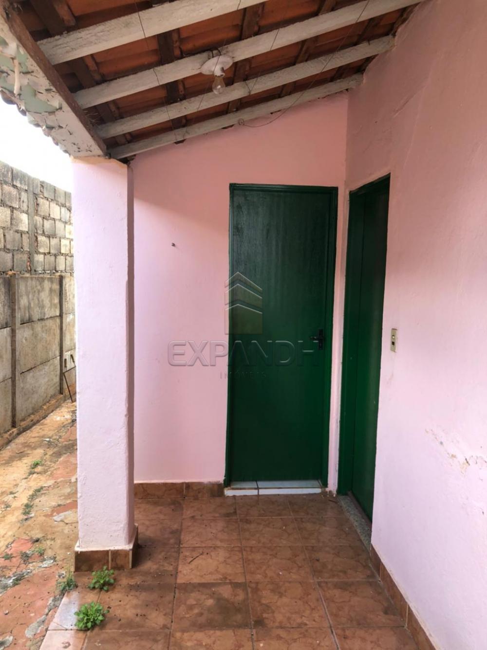 Alugar Casas / Padrão em Sertãozinho R$ 800,00 - Foto 16 Alugar Casas / Padrão em Sertãozinho R$ 800,00 - Foto 16