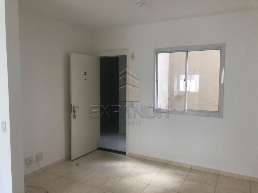 Alugar Apartamentos / Padrão em Sertãozinho R$ 550,00 - Foto 2 Alugar Apartamentos / Padrão em Sertãozinho R$ 550,00 - Foto 2