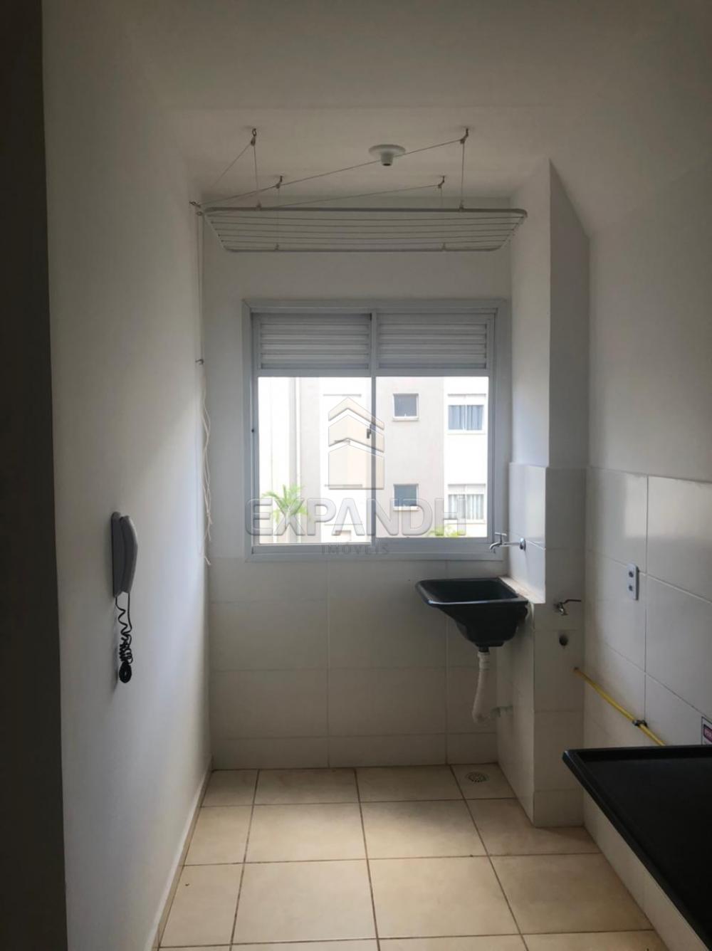 Alugar Apartamentos / Padrão em Sertãozinho R$ 550,00 - Foto 3 Alugar Apartamentos / Padrão em Sertãozinho R$ 550,00 - Foto 3